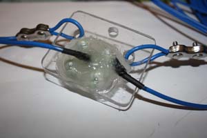 Backside of the dipole feed point